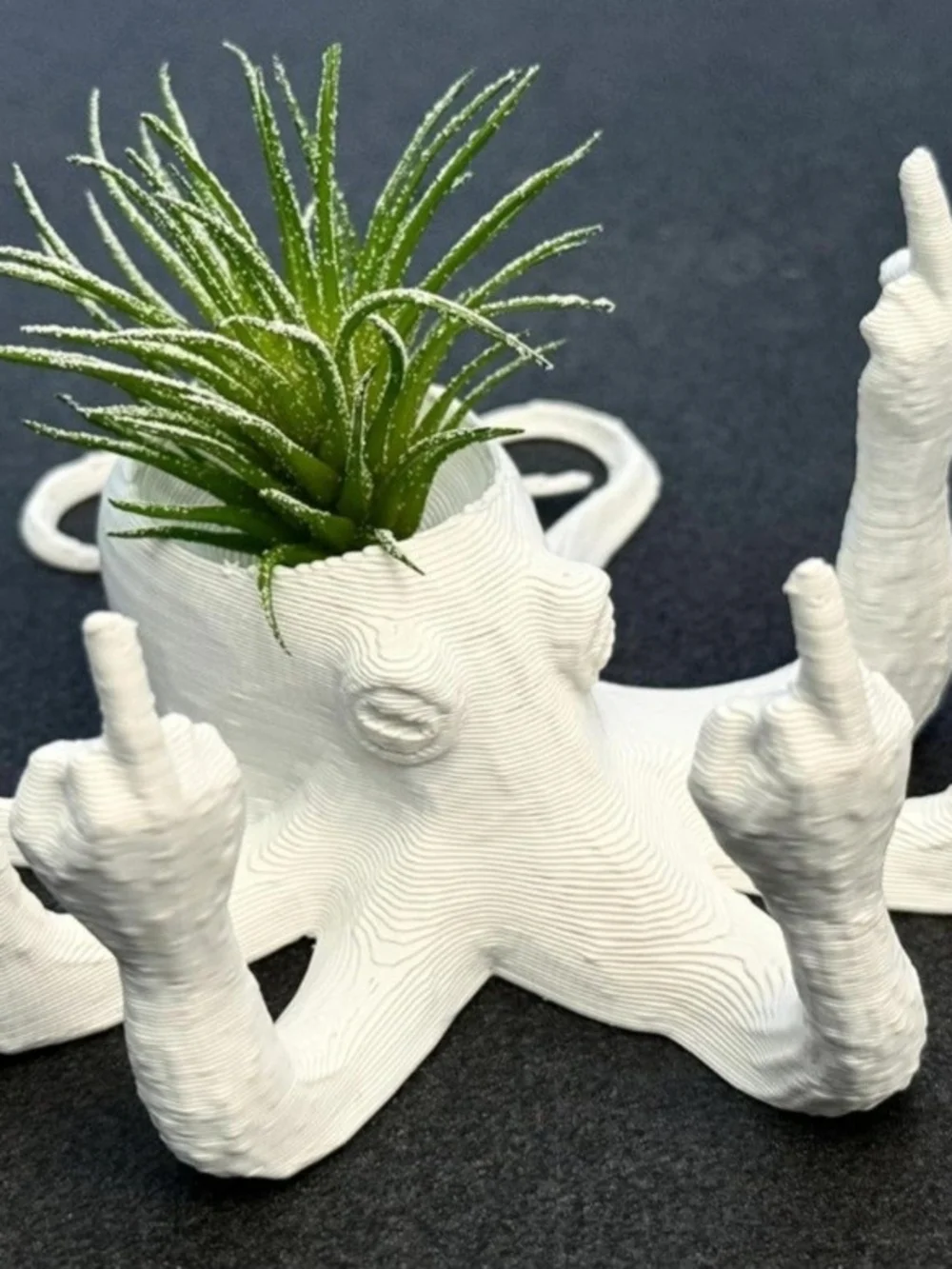 White Ceramic Octopus Air Plant Planter